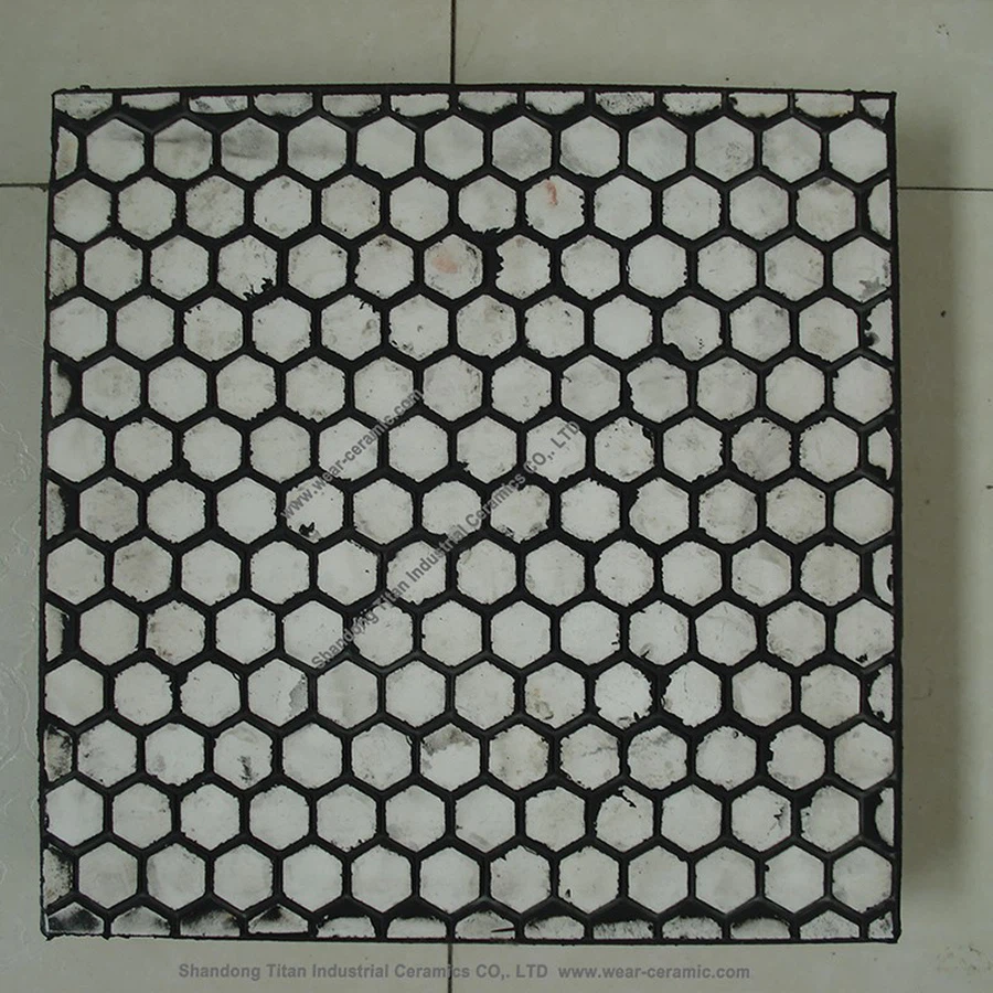 DSC068908hex DSC068908hex